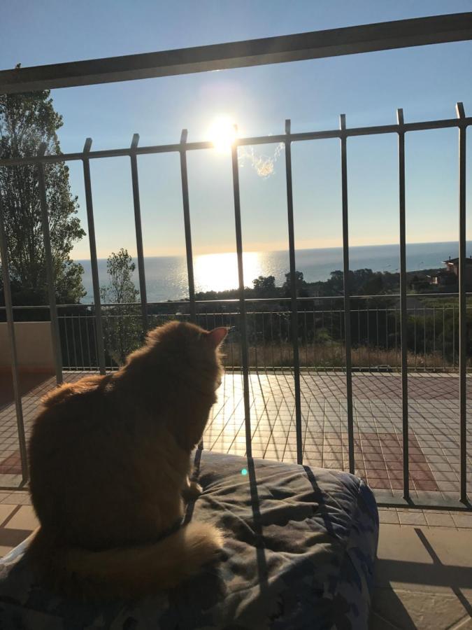 Badolato Marina Luna Apartaments מראה חיצוני תמונה